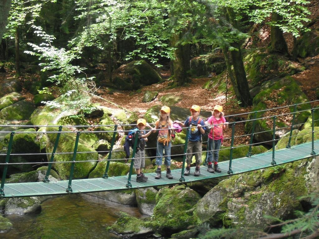 Landurlaub Bei Familie Haug Apartment Freyung Bagian luar foto